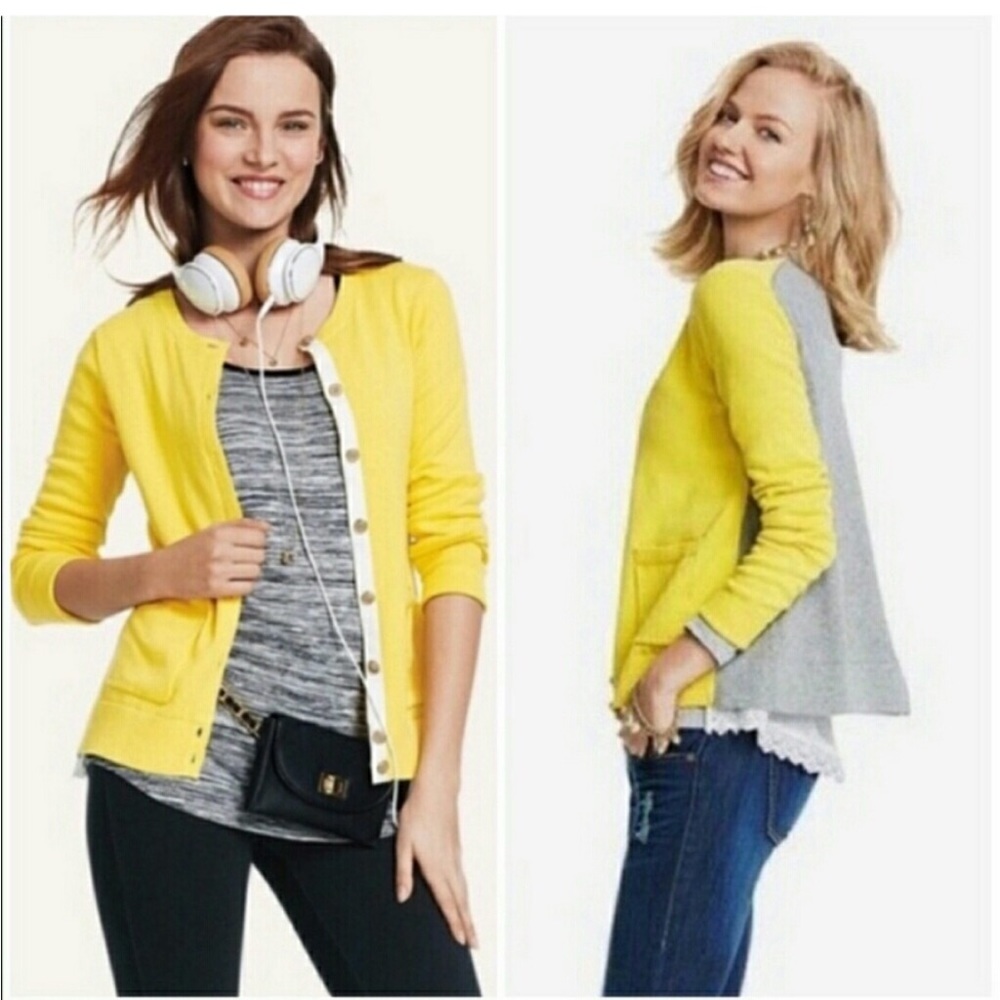 CAbi Belle Fitted Cardigan Yellow and Gray Colorblock White Lace Size Medium